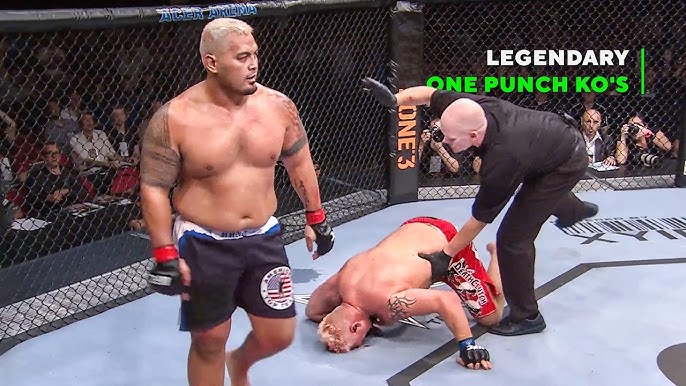 That's The Power! Most Brutal Walk-Off Knockouts - Mark Hunt in K-1