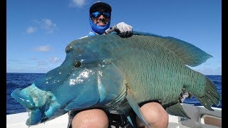 Emeraude Fishing - Popping & Jigging - X-trem - Season 2017
