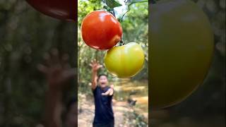 Smart Idea and Useful Lifehack for Survival in the Wild