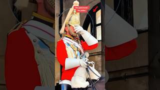 Watch what happens !?🗿 #shorts #kingguardhorse #kingguard #royalguard
