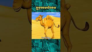 อูฐจอมปลอม #shorts  #การ์ตูน #cartoon