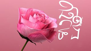 LONG WAY - ផ្កាមួយទង Feat. Snapper ( Official Lyrics Video)