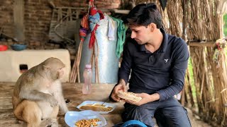 Golden queen,Akash ka lunch 🤗।।  Golden queen vidio।। 