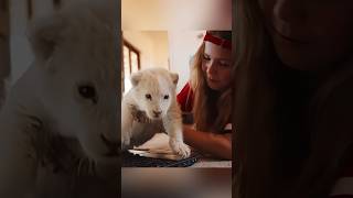 Их дружба была крепче разлуки