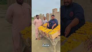 "Mangga Ajaib: Siapa Makan, Jadi Mangga!"