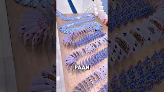 Это самый красивый эффект домино!