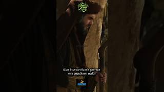 Hz. Ömer'in yaşadığı pişmanlık. #shorst #hzömer #adil #adalet #halife #islam #ahlak #hukuk #yardım