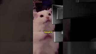 ДУШНИЛА № 93