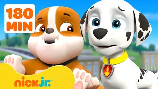 Patrulha Canina | A Patrulha Canina Sente Grandes Emoções! com Marshall e Rubble 💗 180 Minutos
