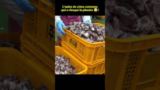 Usine de côtes en Corée 😋 #shorts