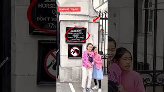 왕의 수호마에 대한 일본의 존경 🐴 #왕수호마 #왕가드 #왕실수호병