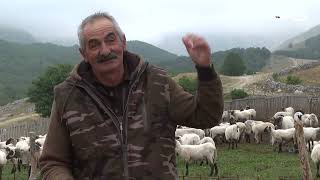 Priče sa Durmitora  Sokolca, Tepaca i Podhuma  -  AGROSAZNANJE