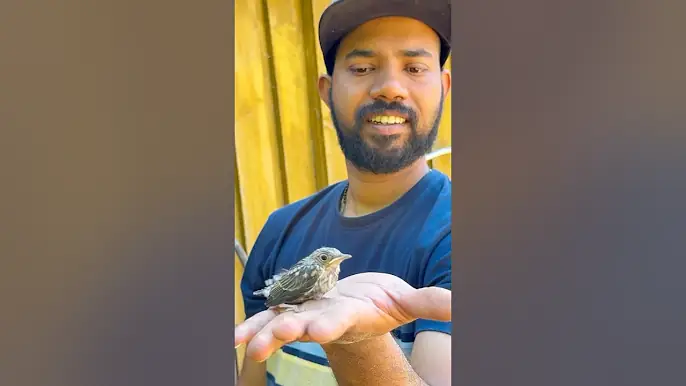 പാവം കിളിക്ക് എന്തുപറ്റിയോ ആവോ 😥#mallusinfinland #familyvlog #rescue