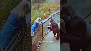 동물들이 가장 친한 친구처럼 사랑을 보여주는 모습!!