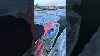 Cat mode😼domino,Bridge,Balcony