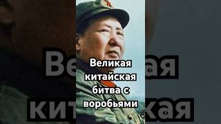 Великая китайская битва с воробьями #загадка #история #хочуфакты #рекомендации #война #shorts