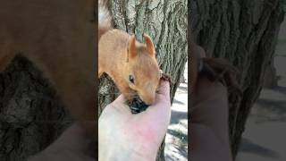 Оазис без воды 5: водный мираж — мужик с пустым бачком