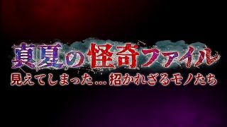 真夏の怪奇ファイル 2025年8月14日 見えてしまった…招かれざるモノたち “最恐”の3時間半SP LIVE