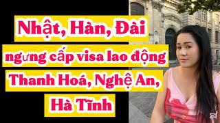 🟢 TIN TỨC LIÊN QUAN ĐẾN NGƯỜI LAO ĐỘNG VN