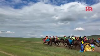 ШУУД | Дашбалбар сумын түүхэн 100 жилийн ойн баяр наадам - Сонгомол дунд насны морьдын уралдаан