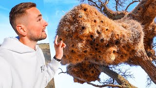 WELKE BEESTEN MAKEN DIT!?