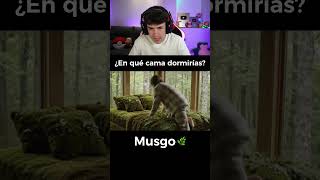 Elige Una Cama 🛏️