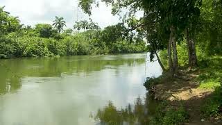 17-Year-old Drowns After Jumping into Belize River