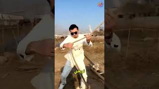 حديقة الأحلام من صنع بابا 💖🌿