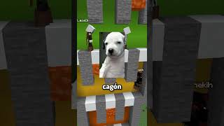 todos son malisimos #shorts #minecraft