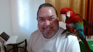 Un p'tit café avec toi et Jackson mon perroquet.