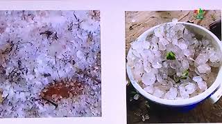 AES/니제르 뉴스: 폭우와 홍수로 수백 명이 집을 잃었습니다.