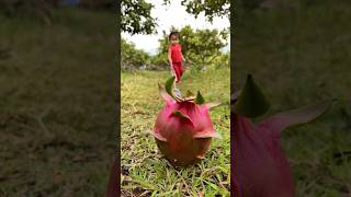 Survival Skills: SMART idea and USEFUL with Dragon in forest #bushcraft #camping #outdoors #survival