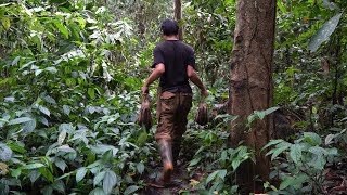 폭풍과 긴 비 뒤의 행운 - 덫에 걸린 어린 멧돼지 | 오프그리드 생존, 에피소드 79