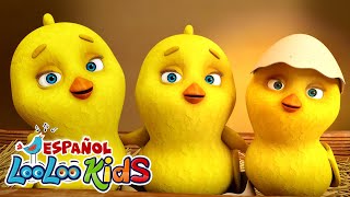 🐤🐥Los Pollitos Dicen Pio Pio + La Vaca Lola - Canciones Infantiles para niños ‪@badanamucanciones‬
