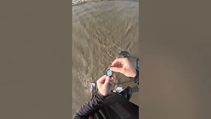 cosas que pierden en el mar #detectordemetales #tesoro