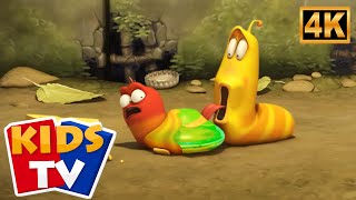 Սուպեր հեղուկ. զվարճալի կռիվ 🔬 | Ծիծաղ և արկածներ 😂 Larva