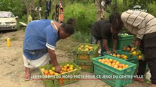 Les produits du nord prêts pour ce jeudi du centre-ville