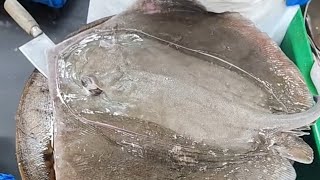 Stingray fish