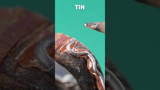 How to Make a Stunning Wooden Ring by Hand 🌲💍