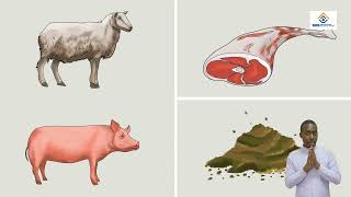 REB/PH2/ PP/ANIMATION/EP5/DISCOVERY