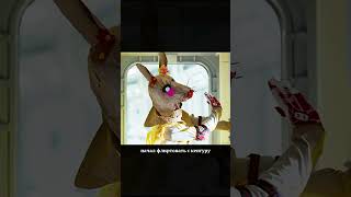 Мужчина борется с кенгуру😳