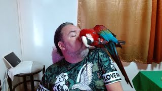 Un p'tit café avec toi et Jackson mon perroquet.