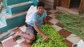 பத்து கிலோ காய்கறி பறிக்க போவோம் 😍 | Village Vlogs Series | Naresh Kumar | Krishva Vlogs