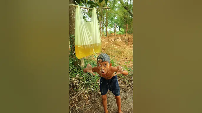 Survival Skills: SMART idea and USEFUL in forest #survival #camping #useful #idea #smart #creative