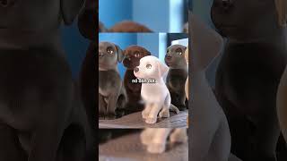 이 개는 너무 작아서 학교에 갈 뻔했습니다.