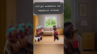 #shortvideo #funny #lifeisbutadream #minecraft #memes