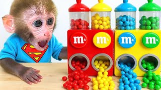 Mono Bon Bon explora la casa inflable de agua y descubre regalos sorprendentes - Animal HT ESP