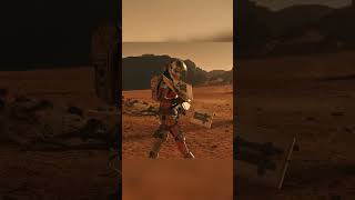 "الطريق إلى البيت: رحلة كلب في البحث عن صاحبه"