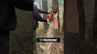 Бензопилы HOLZFFORMA в Алматы — мощные, надежные и удобные инструменты для любой работы с деревом!