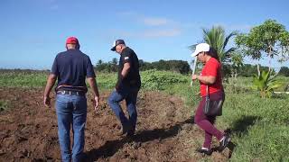 Intensifican acciones en #LasTunas para lograr grandes producciones de alimentos
